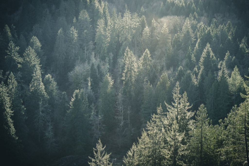 Snoqualmie