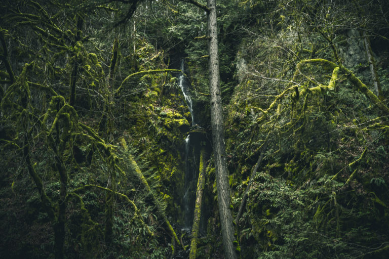 Goldstream Provincial Park