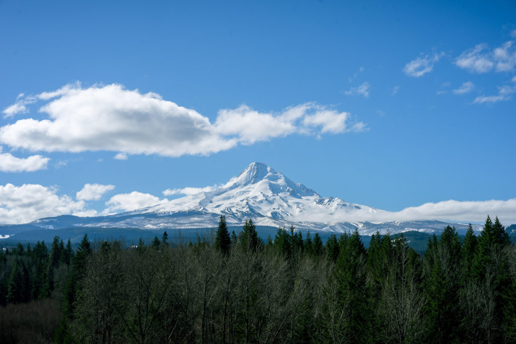 Mt. Hood