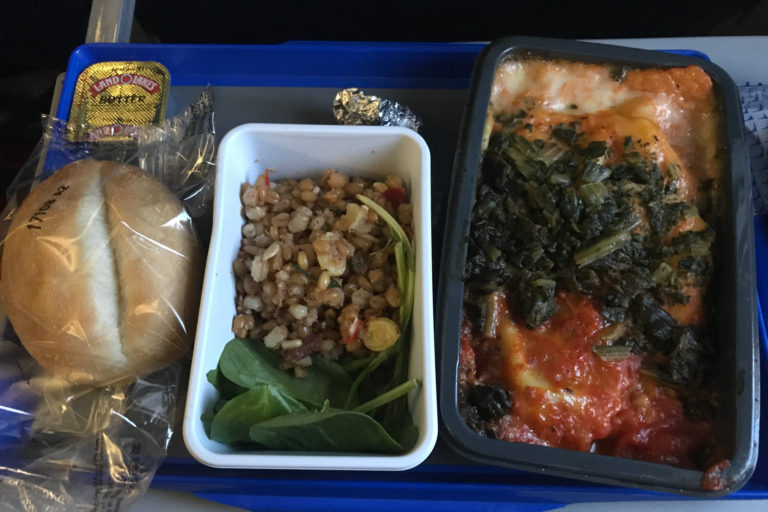 Airplane meal