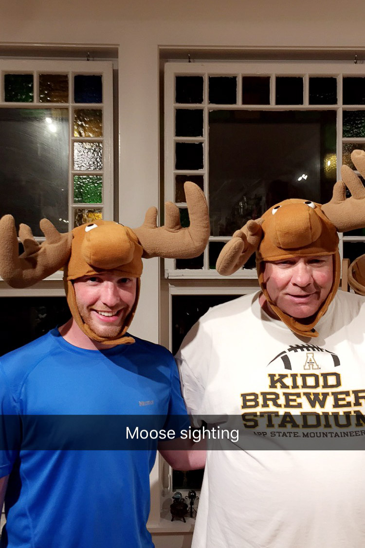 Moose sighting