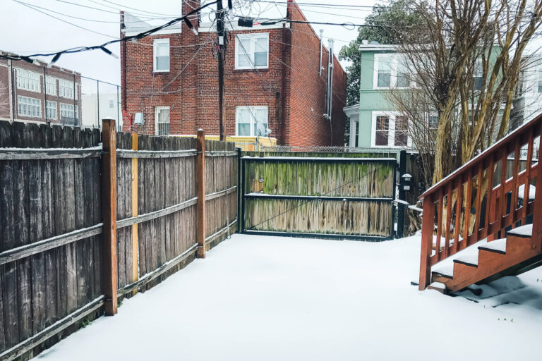 DC Airbnb