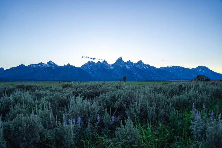 Grand Teton National Park